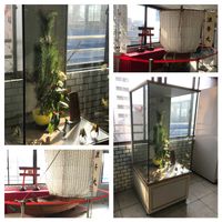 キク,サクラ,センリョウ,ナンテン,マツの画像