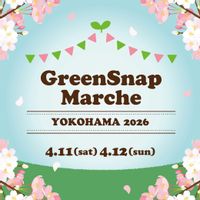 花のある暮らし,植物のある暮らし,植物イベント,イベント情報,春イベントの画像