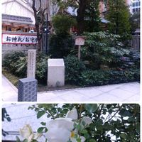 ナニワイバラ,パンジー,福徳神社,ニャンニャン祭り,みちのすけさんのニャンニャン祭りの画像