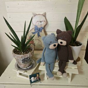 サンセベリア,手作り,繋がりに感謝✨,外出先,輝かしい未来の画像