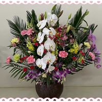 モミジ,デンファレ,生花,お花大好き♡,復興祈願の画像