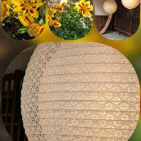 ビデンス,チューリップ,リナリア,プリムラ ポリアンサ,姫金魚草の画像