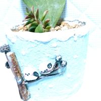 桜吹雪,ハートホヤ,人参,小松菜,チョビの画像