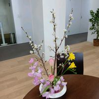 いけばな,生け花,職場に花を,職場のいけばな,ユニクロのお花の画像