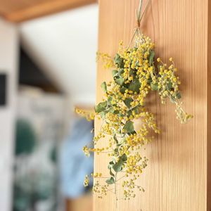 ミモザ,ドライフラワー,切り花,花のある暮らし,ドライフラワーアレンジの画像