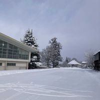 ホテイアオイ,マツ,カボンバ,近所の画像