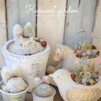 サボテン,サボテン寄せ植え,うさみみ サボテン,うさみみちゃん,うさみみちゃんの画像