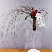 コチョウラン,ハラン,スプレーカーネーション,シダレヤナギ,いけばなの画像