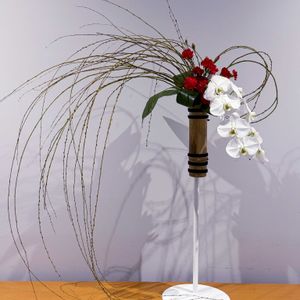 コチョウラン,ハラン,スプレーカーネーション,シダレヤナギ,いけばなの画像