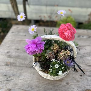 アネモネ・ポルト,コクリュウ,フチンシア アイスキューブ,西洋オキナグサ,ロニセラ マカロンの画像