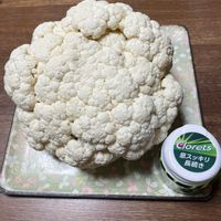 白菜,カリフラワー,収穫した野菜,ニャンニャン祭りの画像