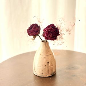 スモークツリー,スプレーバラ,スプレーバラ ナギサウェーブ,ドライフラワー,切り花の画像