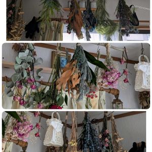 バラ,ドライフラワー,癒される,ドライフラワーアレンジ,雪❄の画像