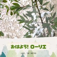 月桂樹,ローズマリー,ユーカリ,レモンティーツリー,レモン ユーカリの画像