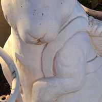 ハクモクレンの画像