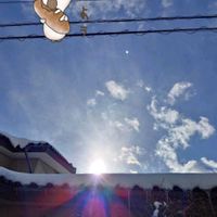 サザンカ,クロガネモチ,繋がりに感謝✨,❄️冬にまけるな❄️,土曜はお空の発表会の画像