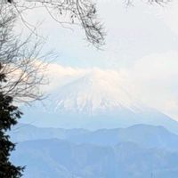 カマツカ,ニラ,西洋カマツカ, 富士山,冬芽と葉痕の画像