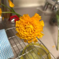 クラスペディアの画像