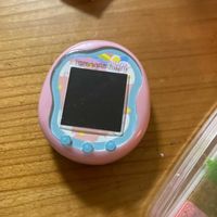 子持ち蓮華の画像