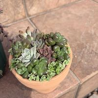 ワークショップ ,グッデイの画像