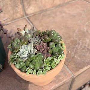 ワークショップ ,グッデイの画像