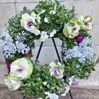 ビオラ,リース,ガーデニング初心者,ここにしか咲かない花,生田園芸の画像