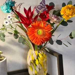 アルストロメリア,カーネーション,ガーベラ,グズマニア,サイネリアの画像