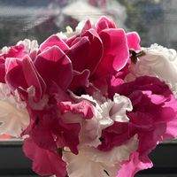 ブーケ,切花,白い花,ピンクの花,花のある暮らしの画像