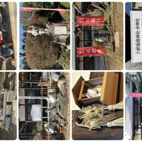 スギ,夏みかん,七福神,お出かけ先の画像