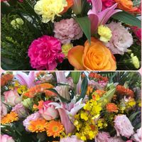 カラー,ネモフィラ,お散歩中,おでかけ先の画像