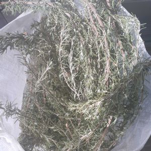 ローズマリー,アイビー,ユーカリ,葉牡丹,スワッグの画像