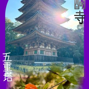 クチナシ,クチナシの実,醍醐寺,国宝,❥植物❥空模様❥コラボ❥の画像