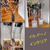 ネコヤナギ,ユキヤナギ,パエリア,イルドーノのお花の画像