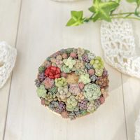 お気に入り♡,かわいいな♡,ちまちま寄せ,癒しの時間,心ほっこりの画像