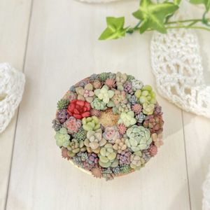 お気に入り♡,かわいいな♡,ちまちま寄せ,癒しの時間,心ほっこりの画像