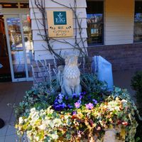 つるバラ,横浜イングリッシュガーデン,つるバラ壁面誘引の画像