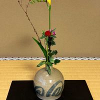 センニチコウ,フリージアの画像