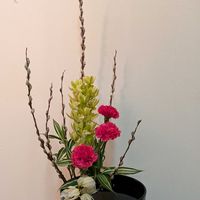 ネコヤナギ,ドラセナ・サンデリアーナ,シンピジューム,私の生け花,松風花道会の画像