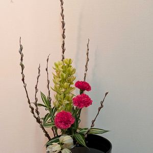 ネコヤナギ,ドラセナ・サンデリアーナ,シンピジューム,私の生け花,松風花道会の画像