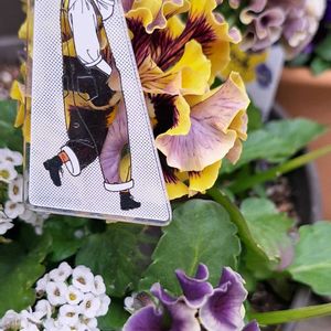 アリッサム,ストック,デイジー,プリムラ　ジュリアン,花かんざしの画像