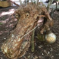 ヒスイカズラ,タマリュウ,リュウノヒゲ,茨木神社⛩️にての画像