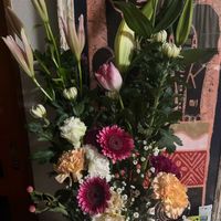 カーネーション,カスミソウ,キク,チューリップ,トルコキキョウの画像