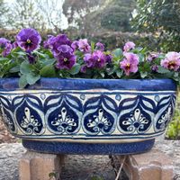 アネモネ,ハツユキカズラ,パンジ・ビオラ,お散歩,花のある暮らしの画像