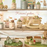 サボテン寄せ植え,サボテンたち,多肉植物たち,くるみさんピック,くるみ*ガーデンの世界の画像