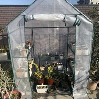 カタクリ,サンカヨウ,セツブンソウ,ニリンソウ,ヒトリシズカの画像