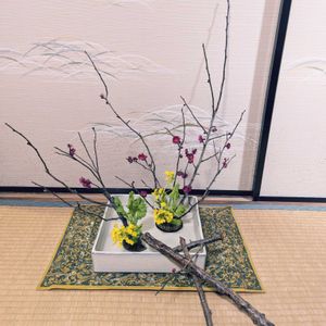 紅梅,なのはな,いけばな,和室の画像