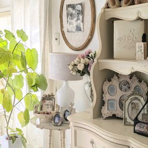 フィカス　ウンベラータ,観葉植物,アンティーク,アンティーク雑貨,バラのある暮らしの画像