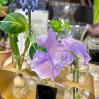 スイートピー,スイートピー,ムスカリ,ユキヤナギ,お出掛け先の画像