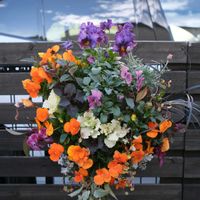 ハンギングバスケット,コメント大歓迎♪,5スリットバスケット,玄関アプローチの画像