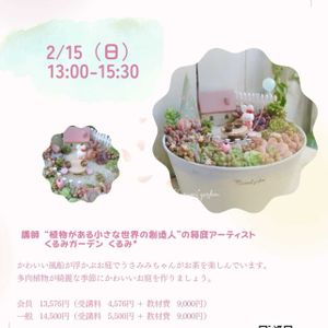 多肉,エケベリア,多肉植物 寄せ植え,多肉植物 寄せ植え,箱庭の画像